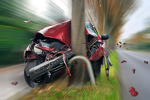 A red car has collided with a tree, showing significant damage to the front end and branches scattered around.